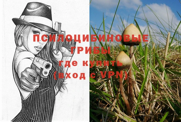 амфетамин Богданович