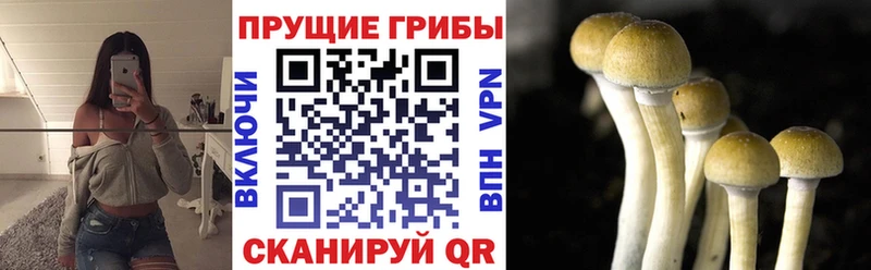 купить закладку  Йошкар-Ола  Галлюциногенные грибы прущие грибы 